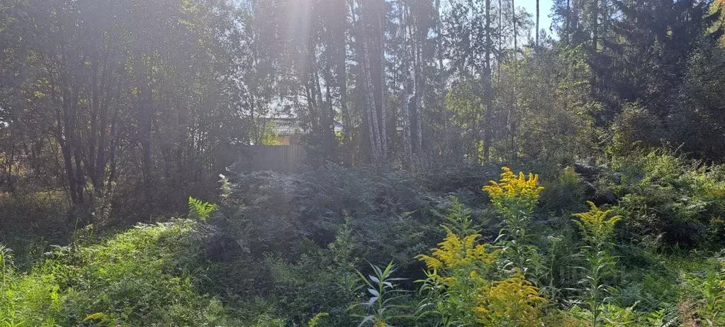 Участок в Московская область, Щелково городской округ, д. Аксиньино  ... - Фото 0