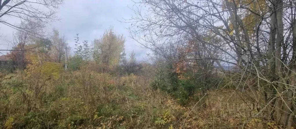 Участок в Московская область, Серпухов городской округ, д. Мещериново  ... - Фото 1