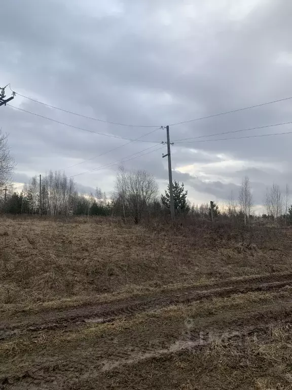 Участок в Нижегородская область, Богородский муниципальный округ, ... - Фото 2