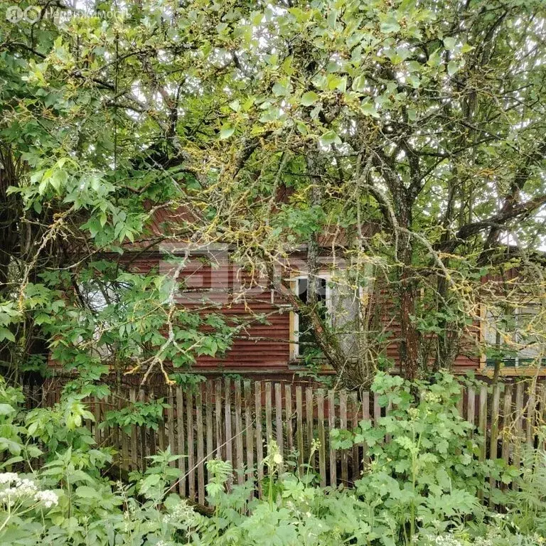 Дом в Буй, улица 11-й Годовщины Октября, 62 (41 м) - Фото 0