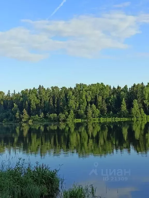 Участок в Нижегородская область, Навашинский городской округ, с. ... - Фото 0