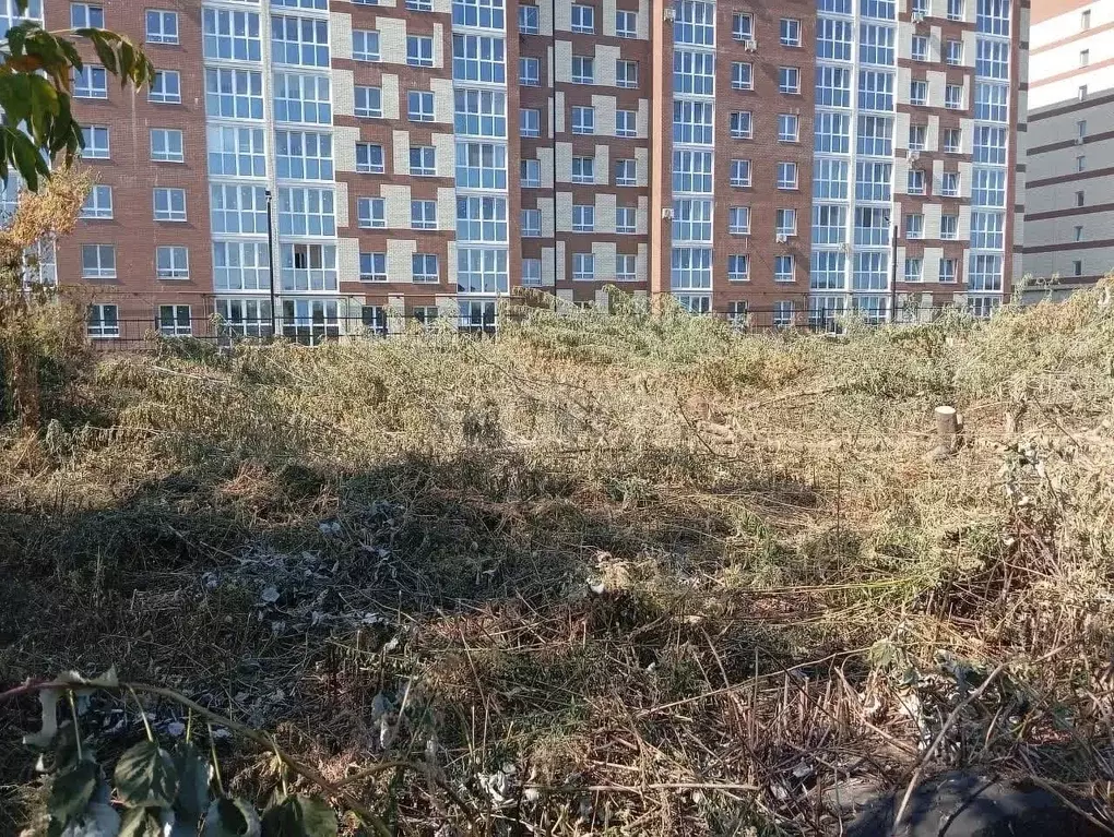 Участок в Брянская область, Брянский район, Снежское с/пос, пос. ... - Фото 1