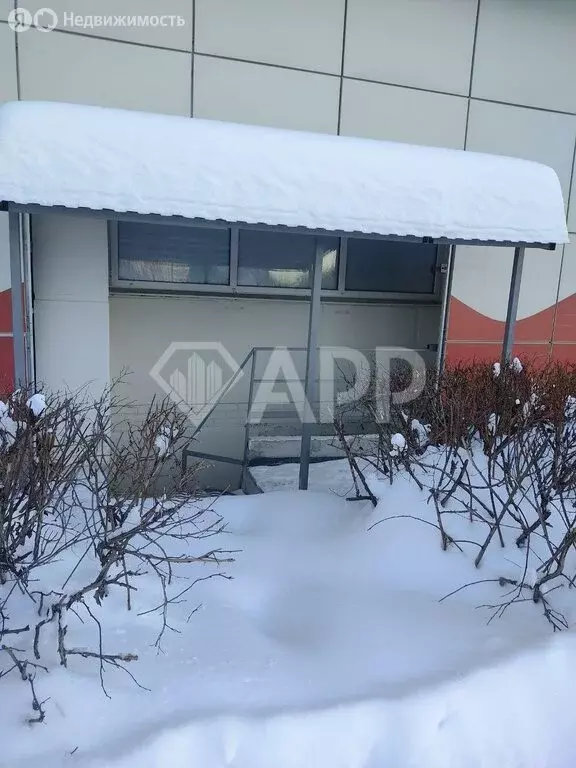 Помещение свободного назначения (277 м) - Фото 1