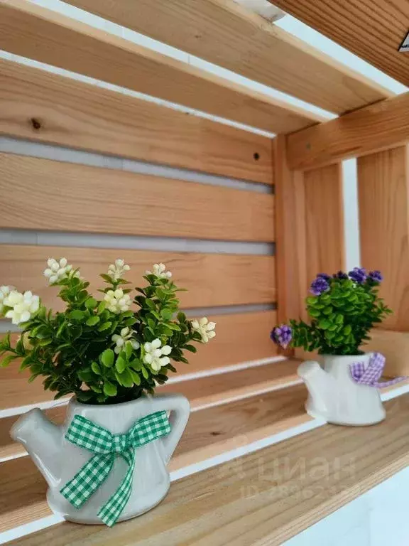 1-к кв. Пермский край, Пермь ул. Ленина, 59 (31.0 м) - Фото 2