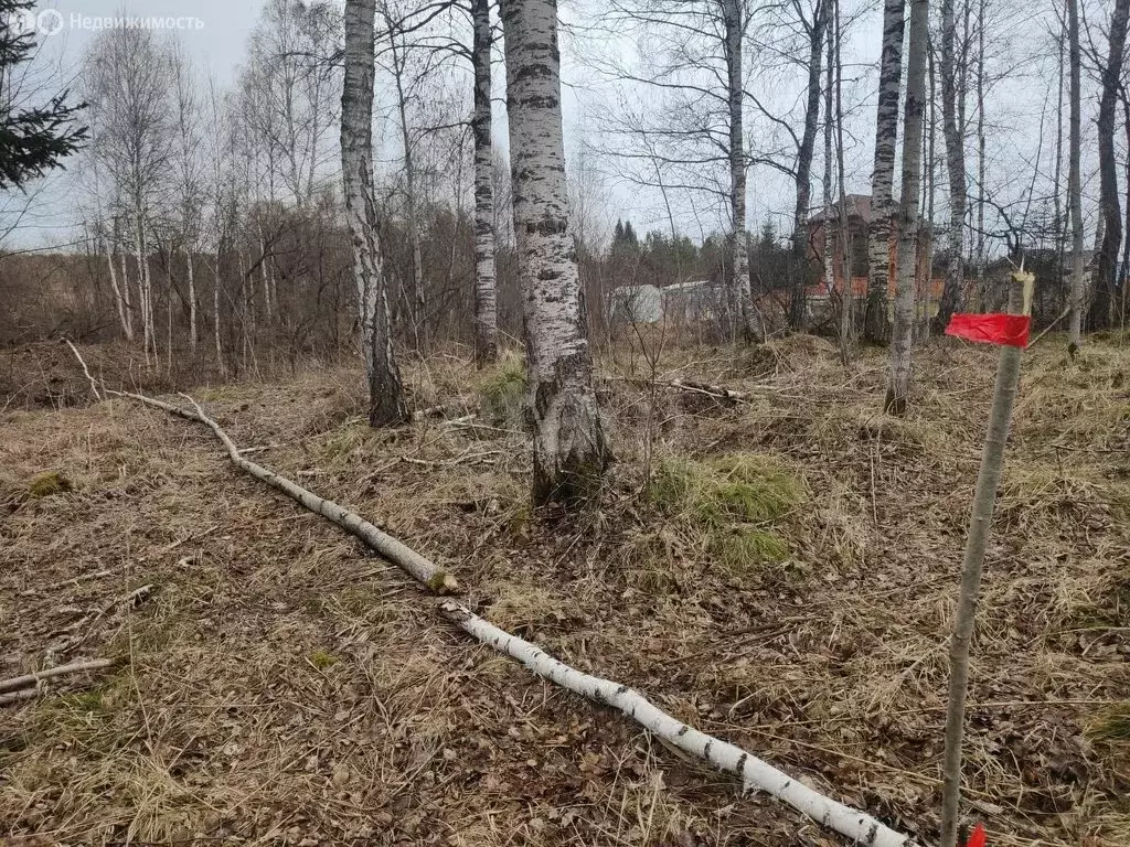 Участок в Красноярский край, городской округ Дивногорск, посёлок ... - Фото 2