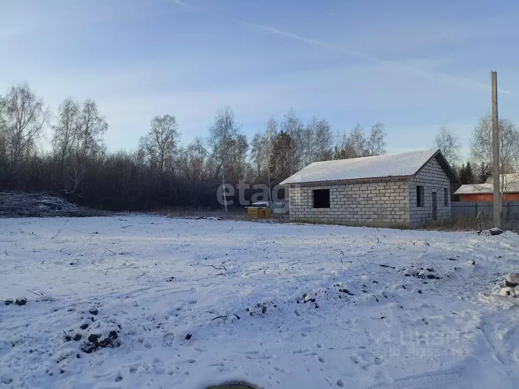 Участок в Новосибирская область, Новосибирский район, Станционный ... - Фото 1