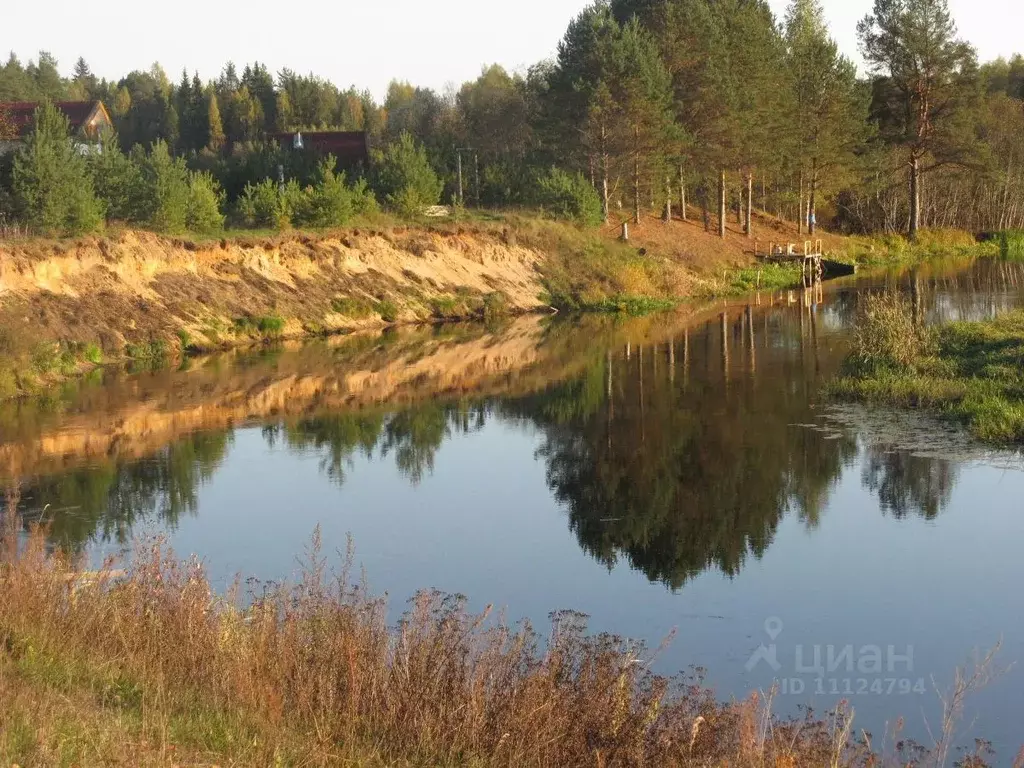 Участок в Тверская область, Осташковский городской округ, д. Уревы  ... - Фото 1