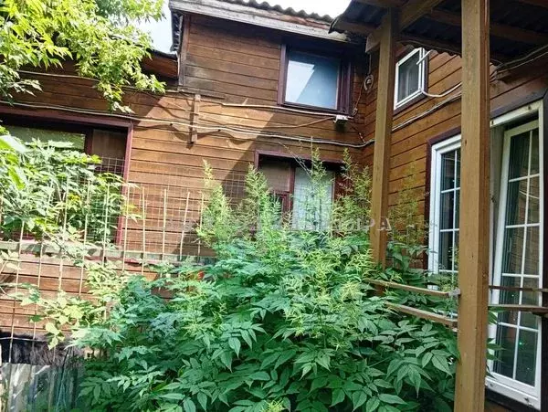 Продается дом в г. Мытищи - Фото 1