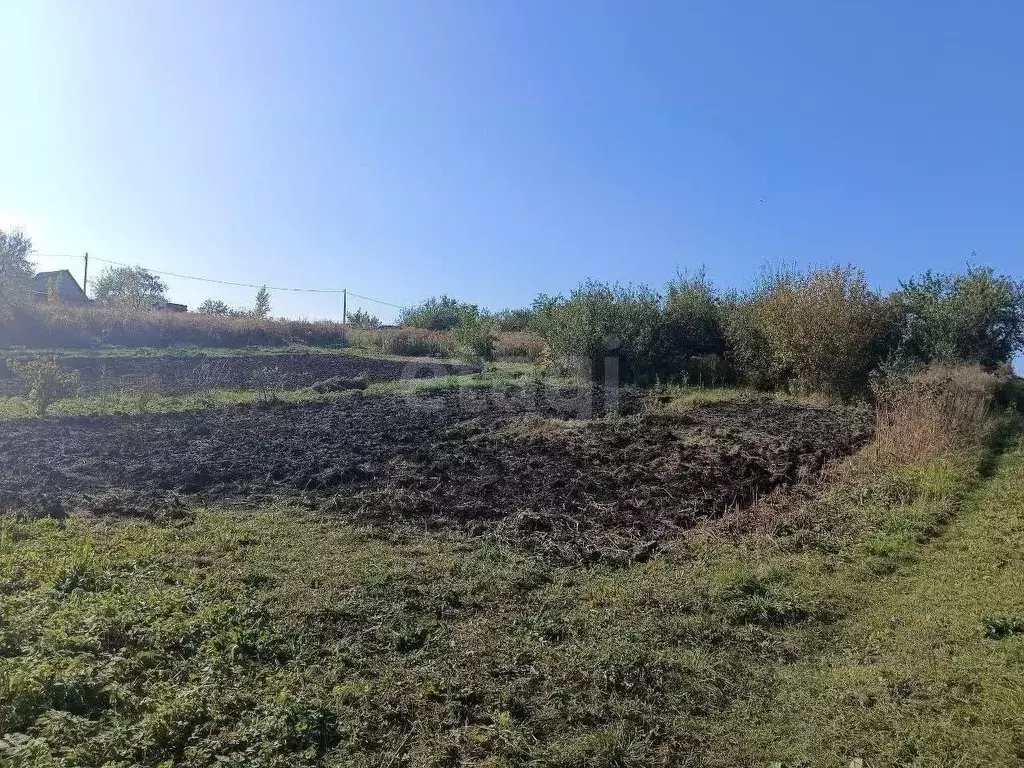 Участок в Брянская область, Брянский район, Снежское с/пос, пос. ... - Фото 1