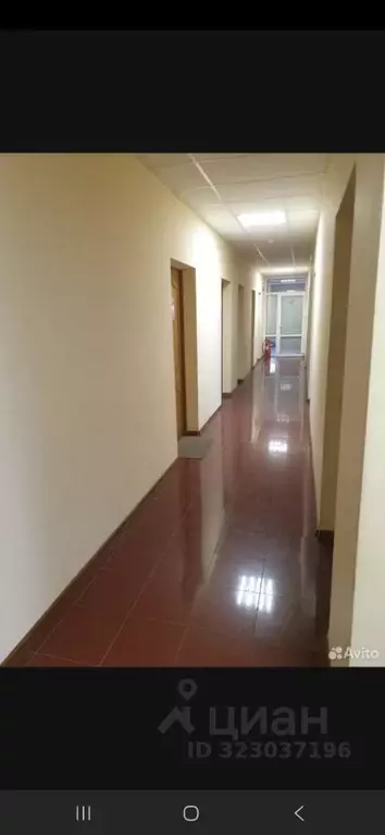 Помещение свободного назначения в Калининградская область, Калининград ... - Фото 2