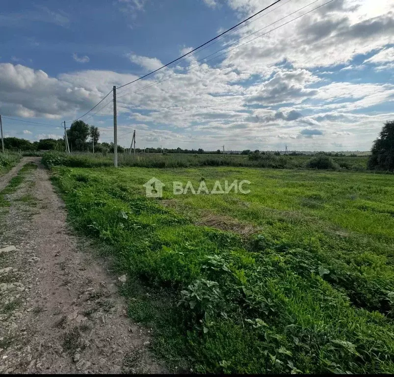 Участок в Воронежская область, Семилукский район, с. Девица ул. ... - Фото 1