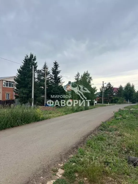 Участок в Оренбургская область, Оренбургский район, с. Подгородняя ... - Фото 1