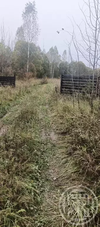 Участок в Ленинградская область, Лужский район, Заклинское с/пос, д. ... - Фото 2