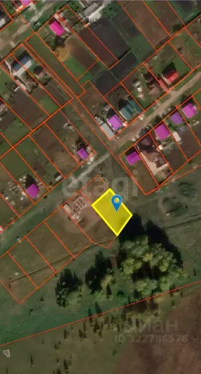 Участок в Новосибирская область, Колыванский район, с. Скала ул. 40 ... - Фото 1