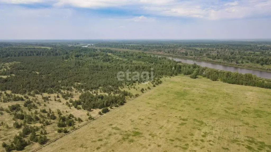 Участок в Тюменская область, Тюменский муниципальный округ, д. Речкина ... - Фото 1