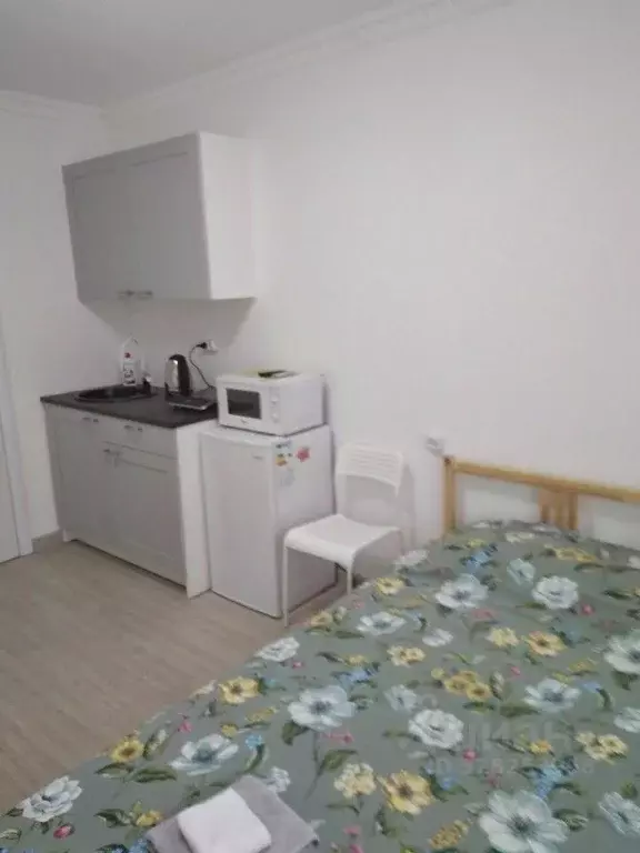 Студия Чувашия, Чебоксары ул. Анисимова, 4 (22.0 м) - Фото 2