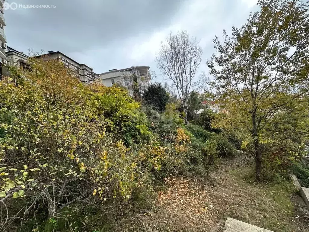 Участок в Сочи, садоводческое товарищество Интурист, улица Верхняя ... - Фото 0