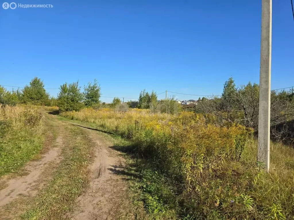 Участок в Добрунь, садоводческое некоммерческое товарищество Пищевик ... - Фото 2