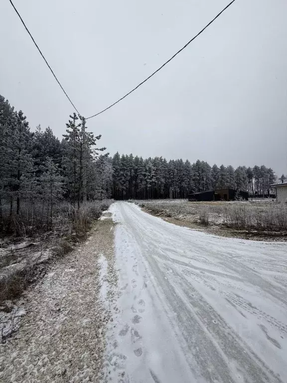 Участок в Владимирская область, Судогодский район, Вяткинское ... - Фото 1