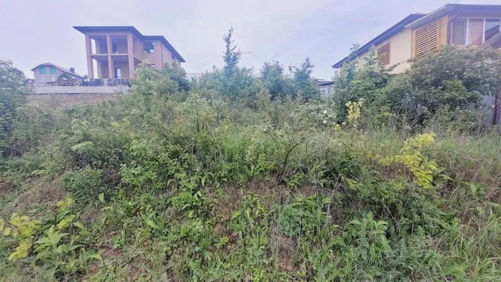 Участок в Краснодарский край, Анапа муниципальный округ, с. Сукко, ... - Фото 2