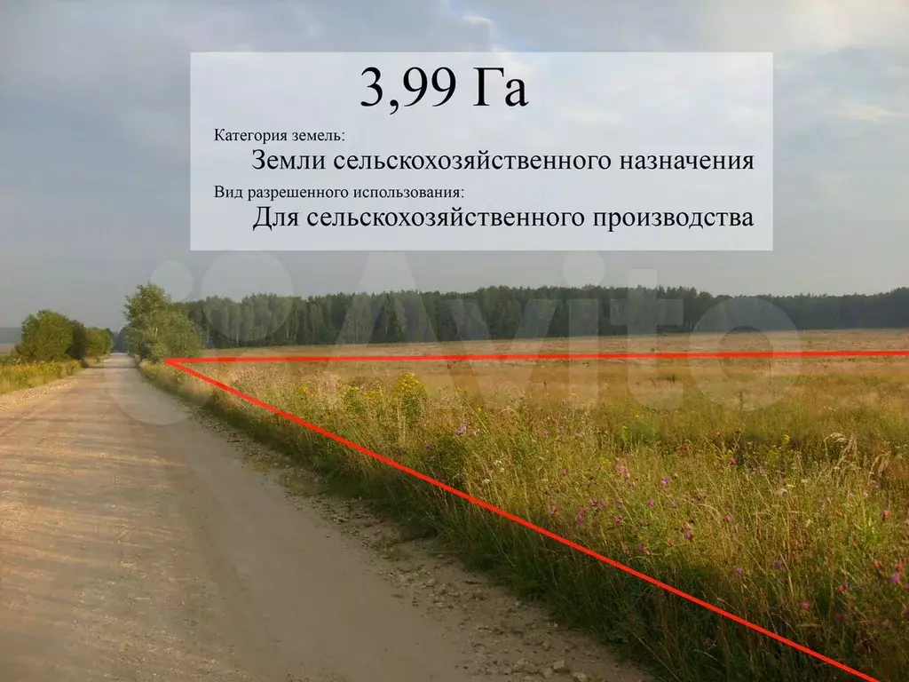 Участок 3,99 га (СНТ, ДНП) - Фото 0