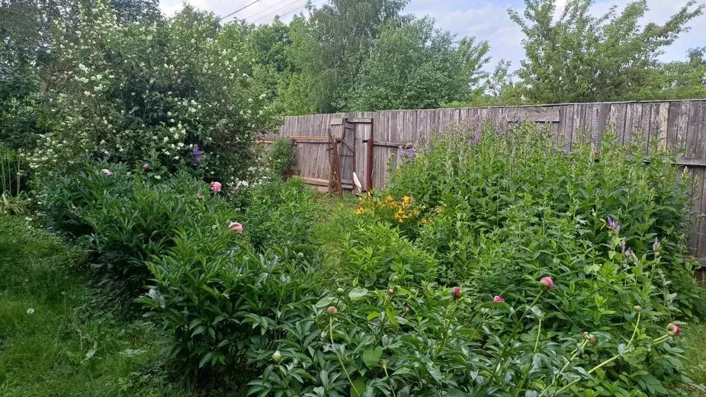 Участок в Московская область, Истра муниципальный округ, д. Захарово  ... - Фото 2