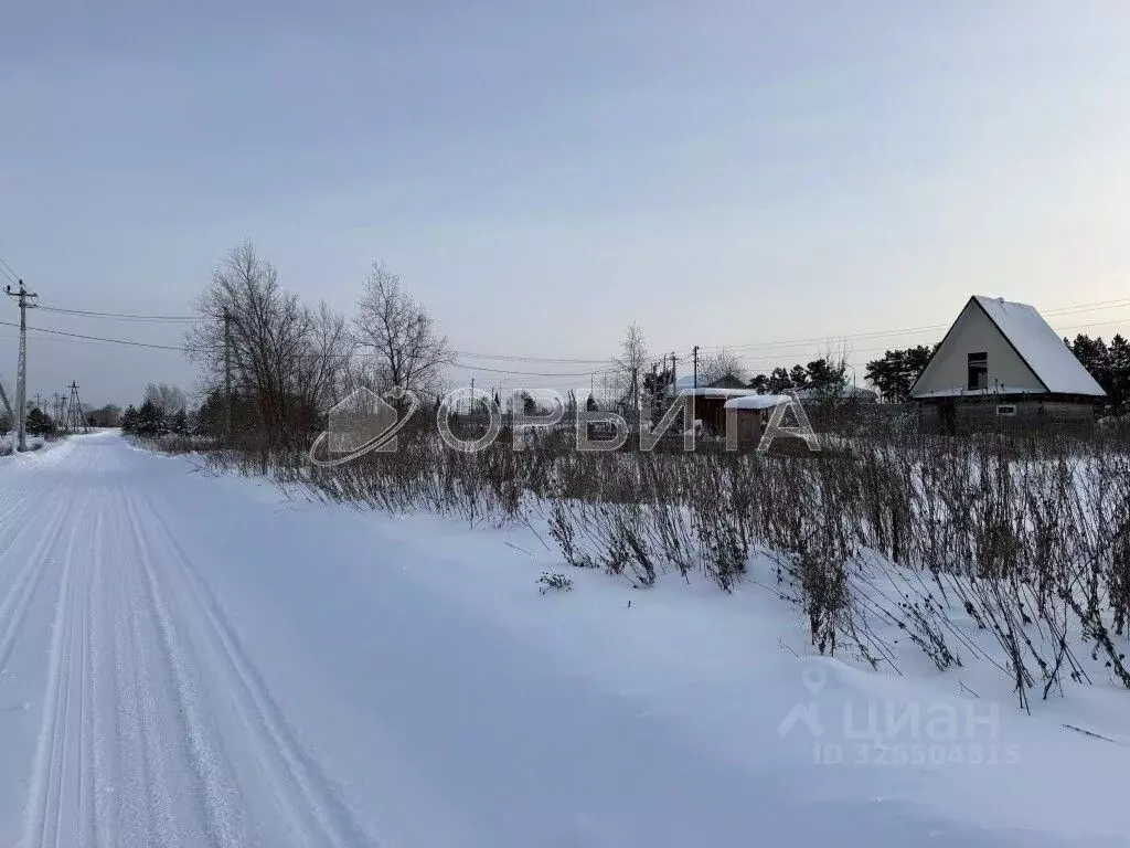 Участок в Тюменская область, Тюмень Царево садовое товарищество, ул. ... - Фото 1