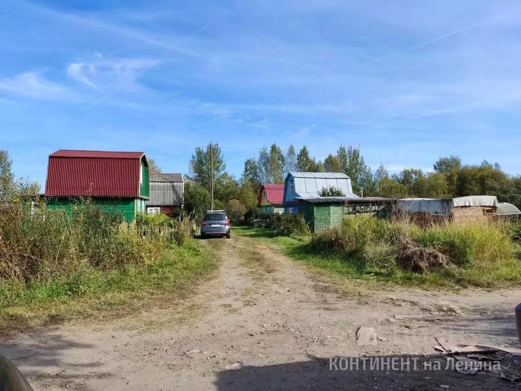 Дом в Ярославская область, Рыбинск Труженик СНТ, 26 (38 м) - Фото 2