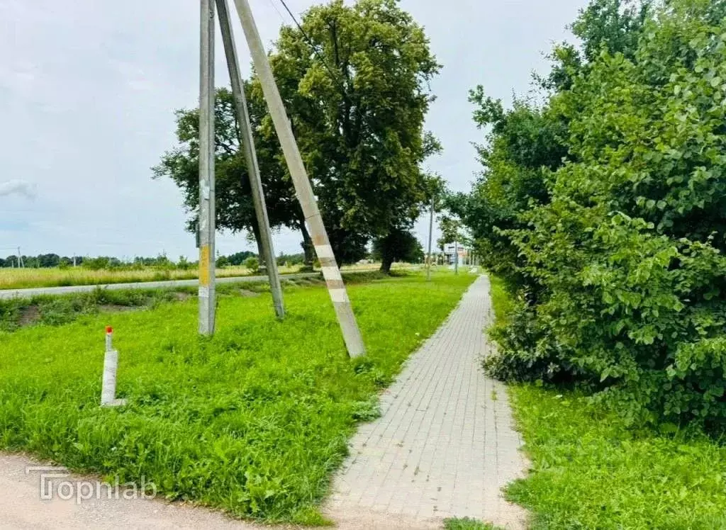 Участок в Калининградская область, Гурьевский муниципальный округ, ... - Фото 2