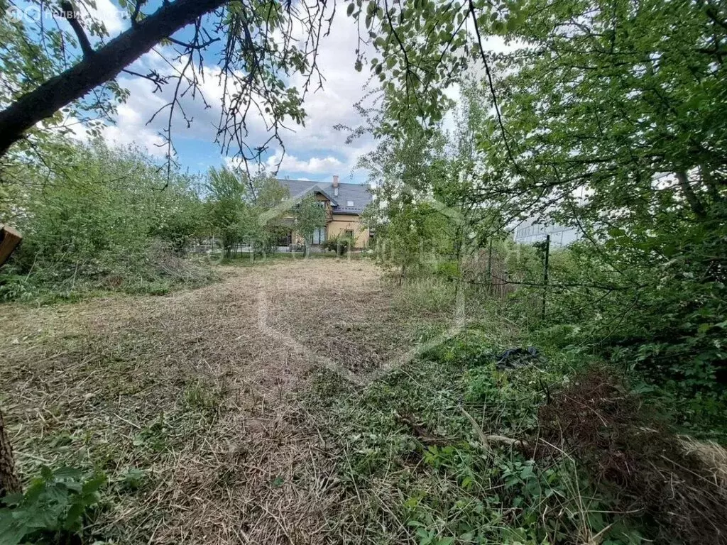 Участок в Калининград, СНТ ЦБЗ-1 (4.9 м) - Фото 1