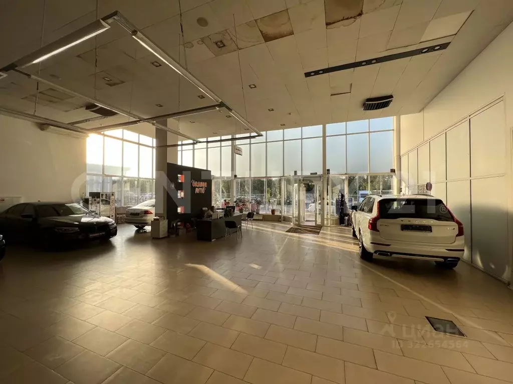 Помещение свободного назначения в Липецкая область, Липецк Московская ... - Фото 2