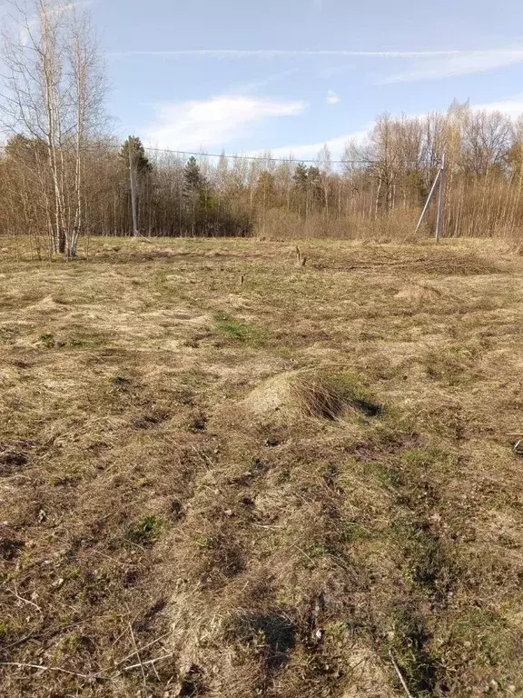 Участок в Московская область, Электросталь городской округ, д. Есино  ... - Фото 1