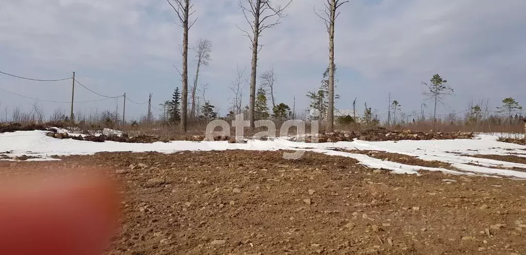 Купить Участок Земли В Петрозаводске