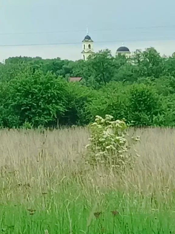 Участок в Тульская область, Веневский муниципальный округ, с. Тюнеж  ... - Фото 0