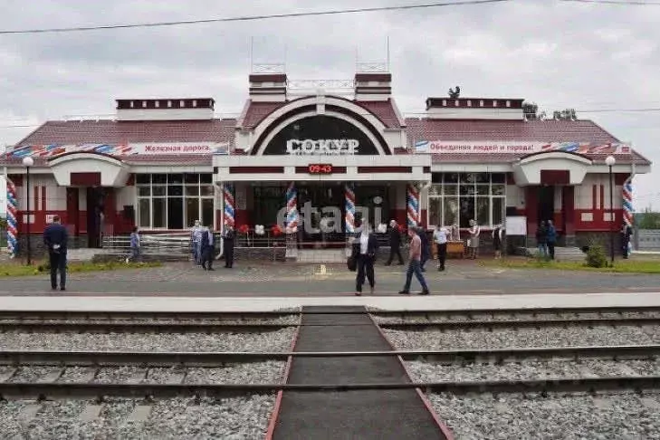 Участок в Новосибирская область, Мошковский район, с. Сокур  (7.7 ... - Фото 1