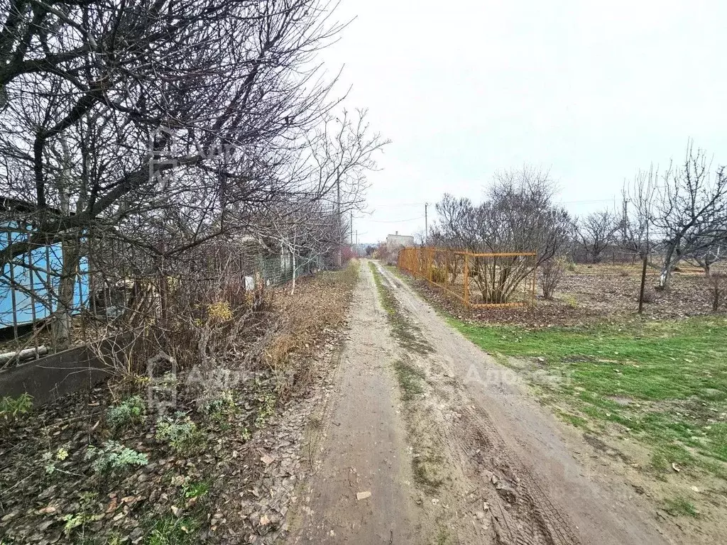 Участок в Волгоградская область, Городищенский район, Ерзовское ... - Фото 2
