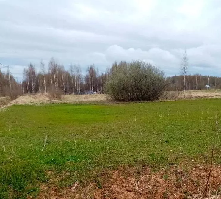 Участок в Тверская область, Зубцовский муниципальный округ, Садко СНТ ... - Фото 1