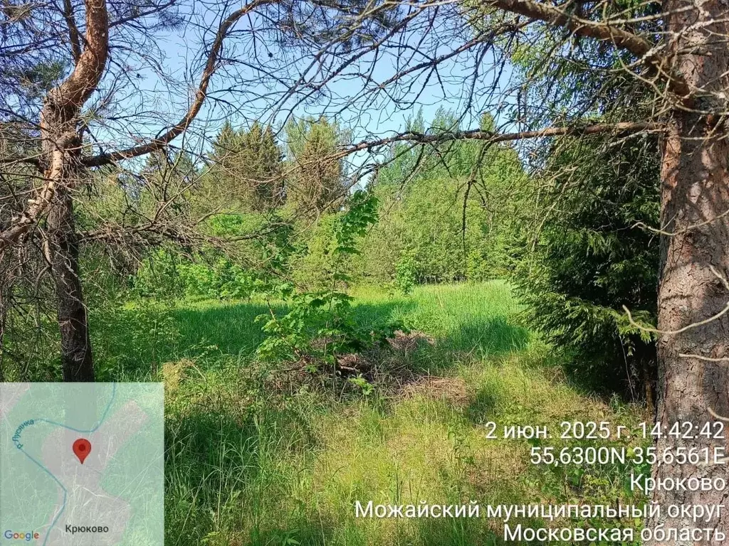 Участок в Московская область, Можайский муниципальный округ, д. ... - Фото 1