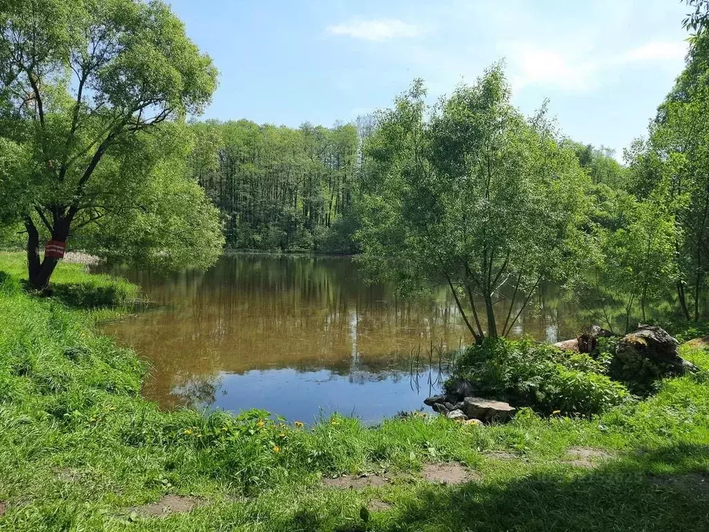 Дом в Московская область, Коломна городской округ, с. Комарево  (50 м) - Фото 2