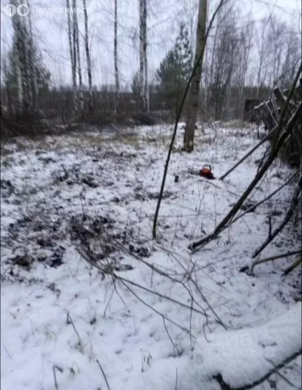 Участок в Ярославский муниципальный округ, деревня Липовицы (20 м) - Фото 2