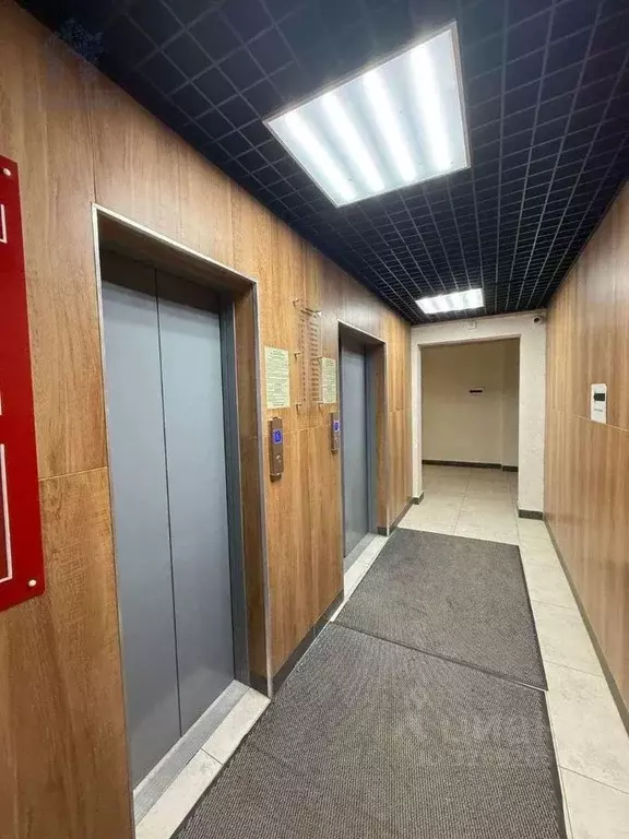 Студия Воронежская область, Воронеж Цимлянская ул., 10В (22.6 м) - Фото 2