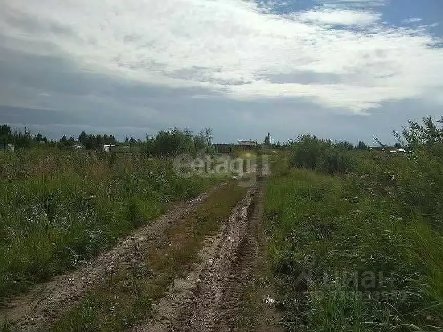 Участок в Тюменская область, Тюмень Поле Чудес СНТ, ул. Лазурная (5.0 ... - Фото 1