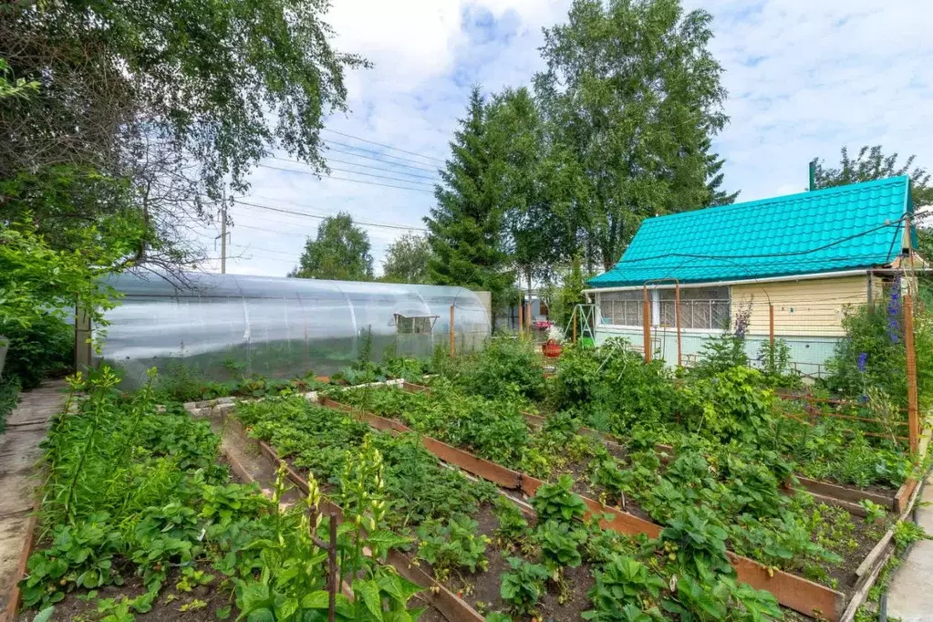 Дом в Тюменская область, Тюмень Плодовое СНТ, ул. Крайняя (18 м) - Фото 1