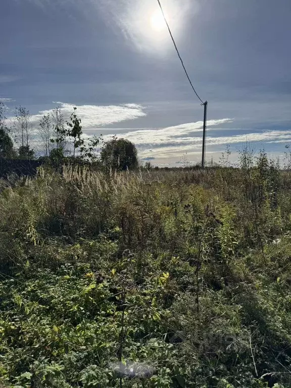 Участок в Ленинградская область, Волосовский район, Большеврудское ... - Фото 1
