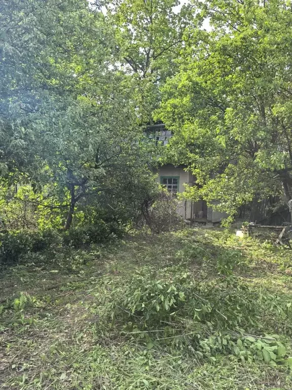Дом в Белгородская область, Белгородский район, Беломестненское с/пос, ... - Фото 1