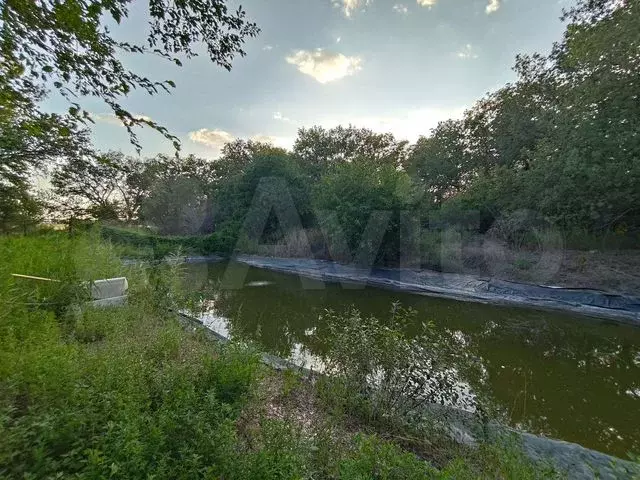 Участок 59 сот. (СНТ, ДНП) - Фото 0