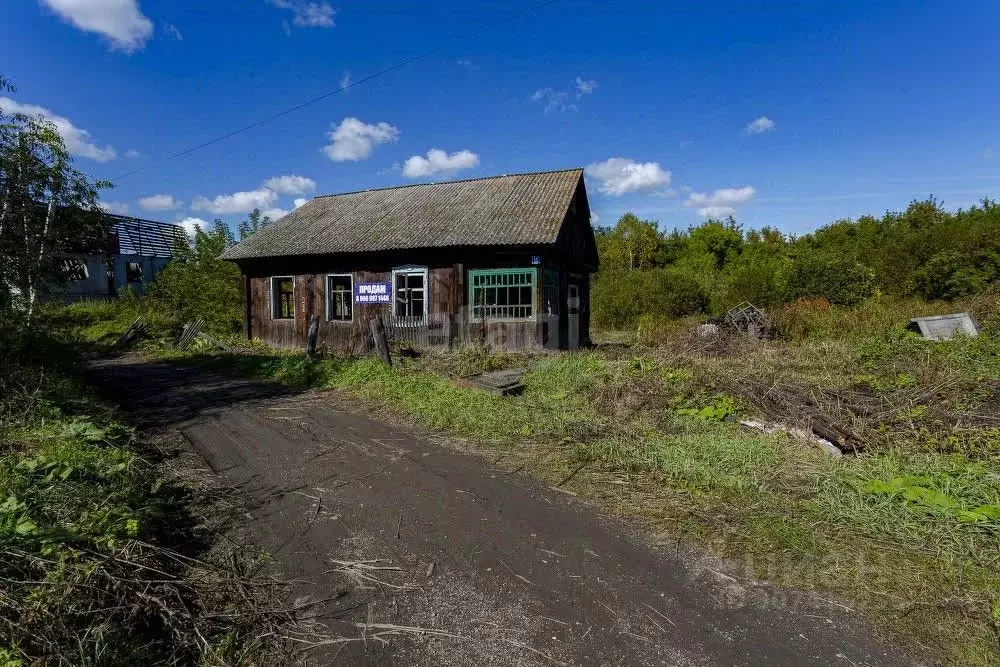 Участок в Кемеровская область, Прокопьевский район, пос. Калачево ... - Фото 1