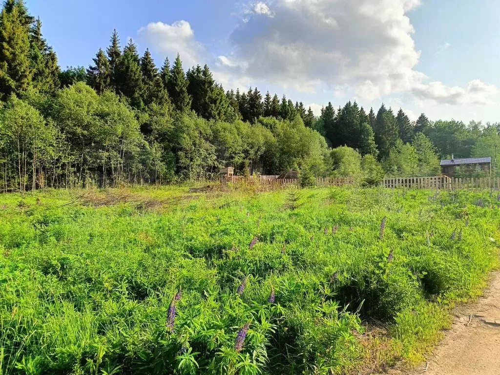 Участок 9,5 сот. (СНТ, ДНП) - Фото 1