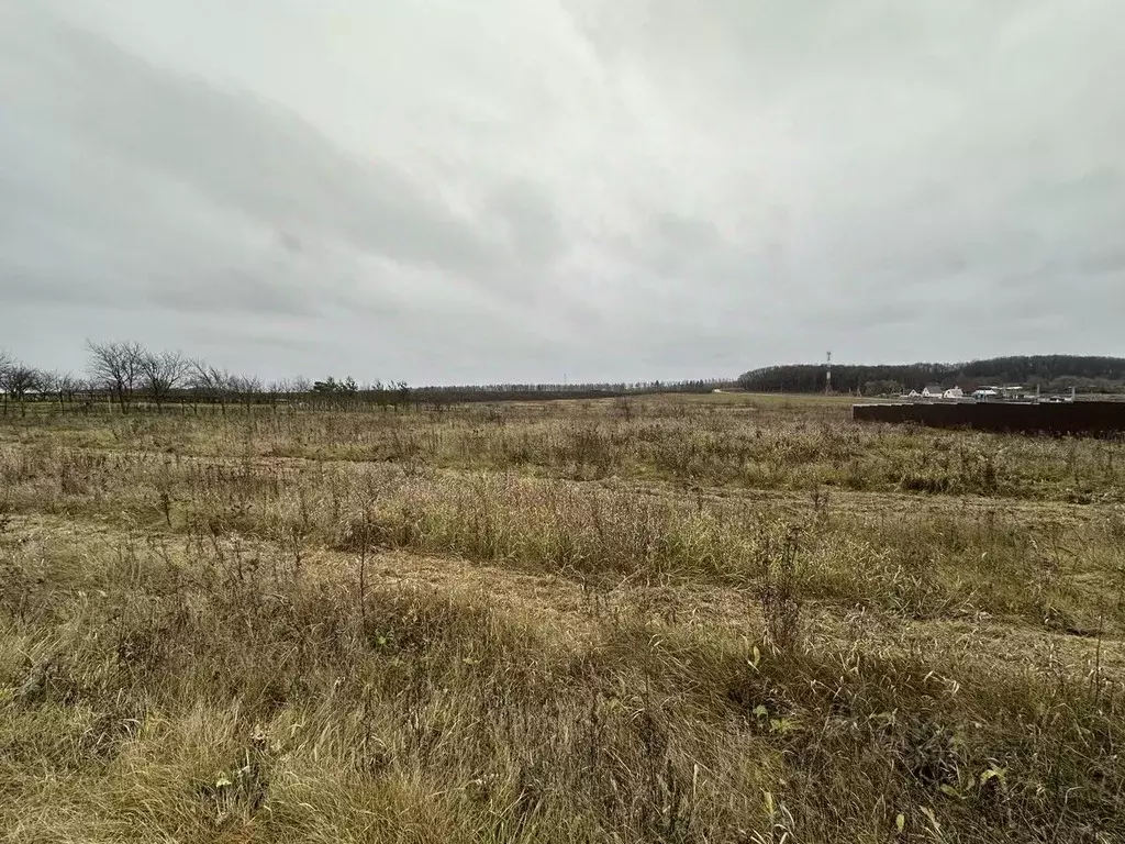 Участок в Московская область, Серебряные Пруды муниципальный округ, ... - Фото 2