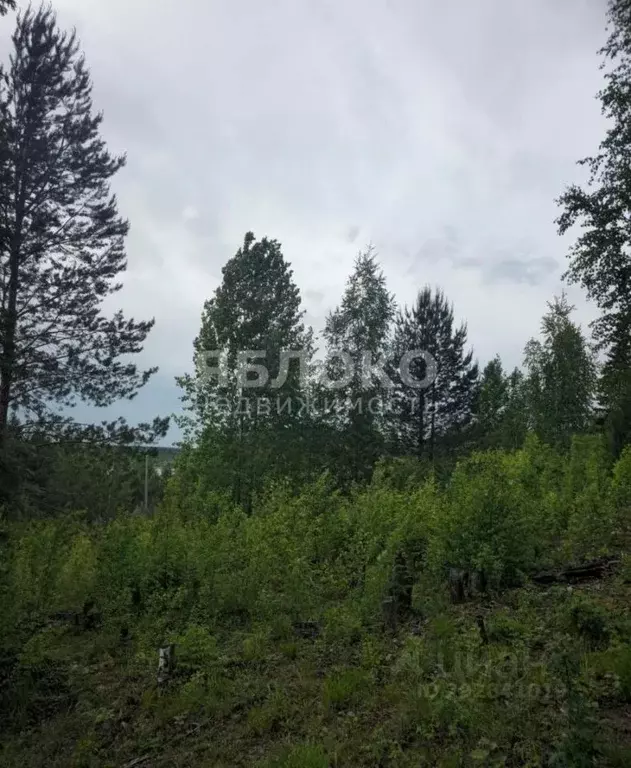 Участок в Пермский край, Березники № 99 СНТ,  (9.6 сот.) - Фото 1